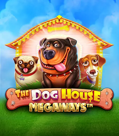 Dog House